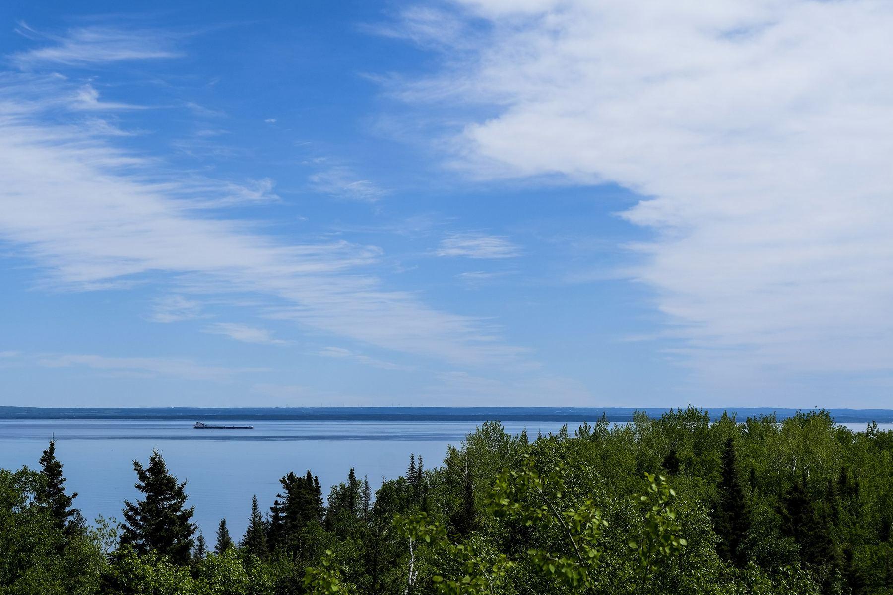 Le fleuve Saint-Laurent vu au-dessus de la forêt d'épinettes.